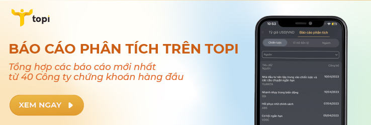 Báo cáo tài chính trên ứng dụng TOPI