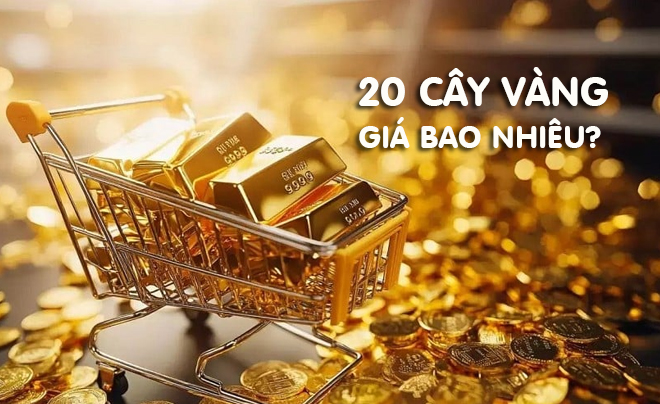 Cập nhật giá 20 cây vàng là bao nhiêu tiền - TOPI