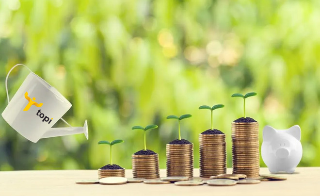Chăm chỉ đầu tư, tích lũy để tăng thu nhập - TOPI