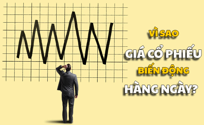 Giải thích lý do giá cổ phiếu biến động hàng ngày - TOPI