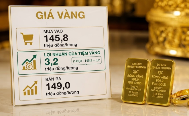 Lợi nhuận của tiệm vàng chủ yếu đến từ chênh lệch giá và thanh khoản đều đặn - TOPI
