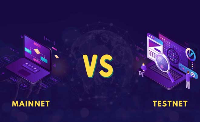 Tầm quan trọng của Mainnet và Testnet