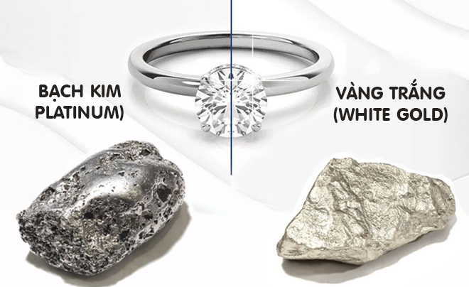 So sánh vàng trắng 14K và bạch kim - TOPI