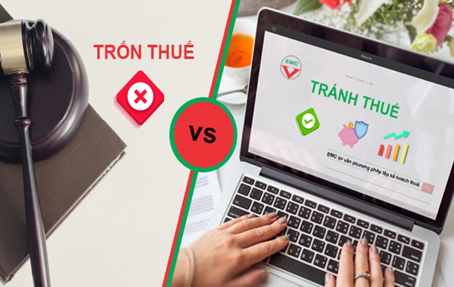 Trốn thuế và tránh thuế