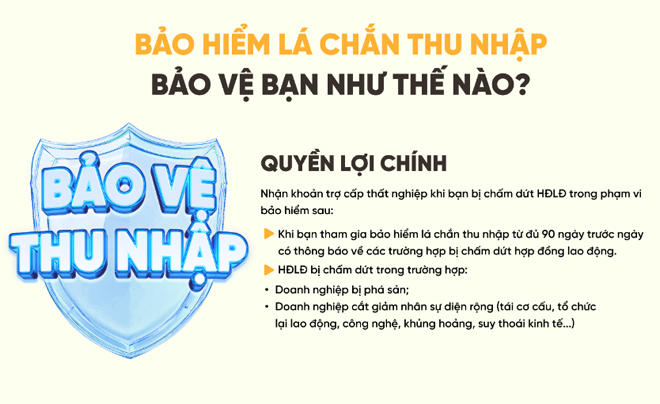 Bảo vệ thu nhập của bạn dễ dàng với bảo hiểm trên TOPI
