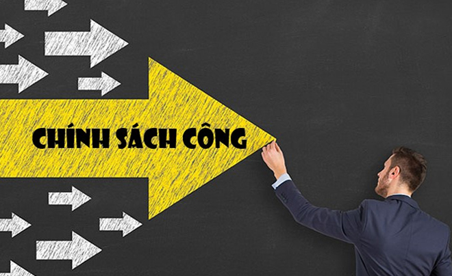 Chính sách công được phân loại theo chức năng, mục đích cụ thể - TOPI