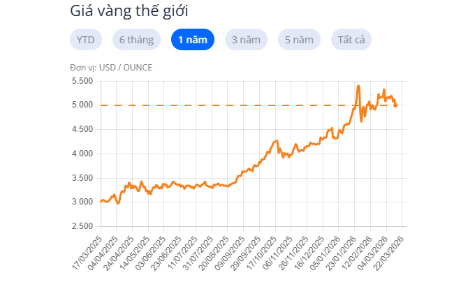 Giá vàng thế giới tăng 60 - 70% trong năm qua - TOPI