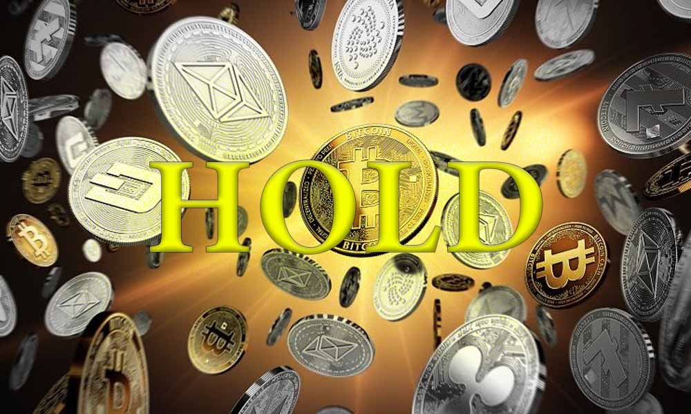Hold coin là chiến lược nắm giữ đồng tiền mã hóa dài hạn - TOPI