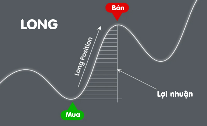 Lệnh Long giúp kiếm lợi nhuận khi thị trường tăng - TOPI