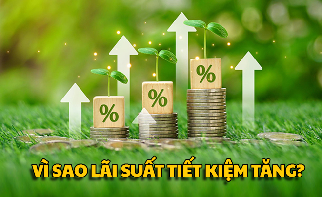 Nhiều ngân hàng đồng loạt tăng lãi suất tiết kiệm các kì hạn - TOPI