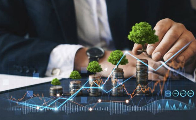 Phân bổ vốn hợp lý vào danh mục đầu tư - TOPI