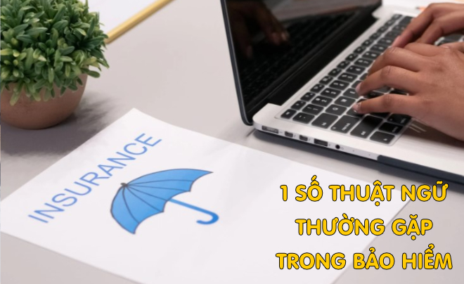 Tìm hiểu một số thuật ngữ phổ biến trong bảo hiểm - TOPI