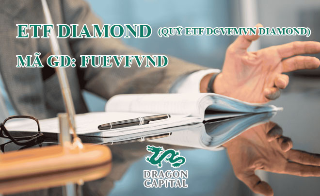 Tìm hiểu về quỹ đầu tư tiềm năng nhất thị trường FUEVFVND - TOPI