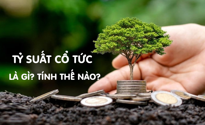 Tỷ suất cổ tức phản ánh lợi nhuận của nhà đầu tư