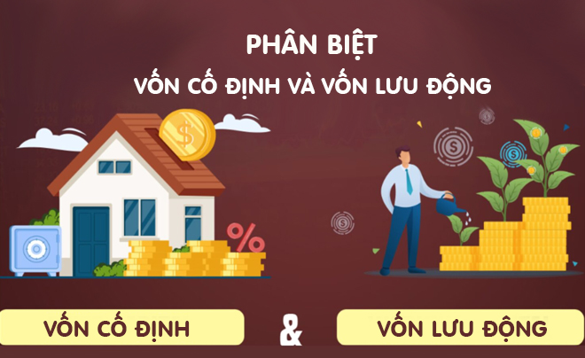 Vốn cố định và vốn lưu động là hai thành phần quan trọng của doanh nghiệp - TOPI
