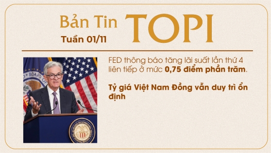 BẢN TIN TOPI - TUẦN 01/11