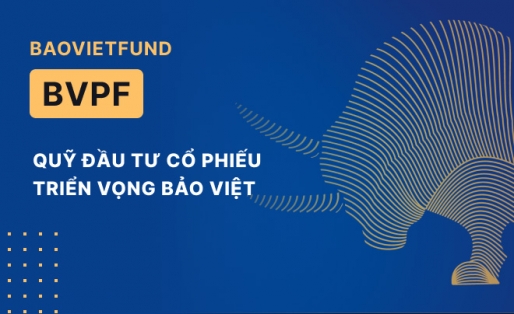 BAOVIETFUND - (BVPF) Quỹ Đầu tư Cổ phiếu Triển vọng Bảo Việt