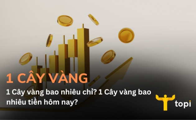 https://9746c6837f.vws.vegacdn.vn/resize/thumb_article/0/0/0/1/W8jfICmlGtPuVD9QYSdLau2vJNMcX8DUjrPo4RSR.jpg?w=686&h=386&v=2022