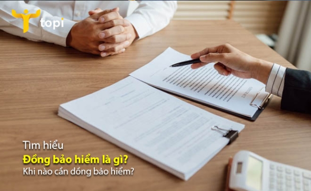 https://9746c6837f.vws.vegacdn.vn/resize/thumb_article/0/0/0/2/qwI3H9BjyzLTZzdEDquq6rW5ZOIMs5ll0xjCUqPl.jpg?w=686&h=386&v=2022