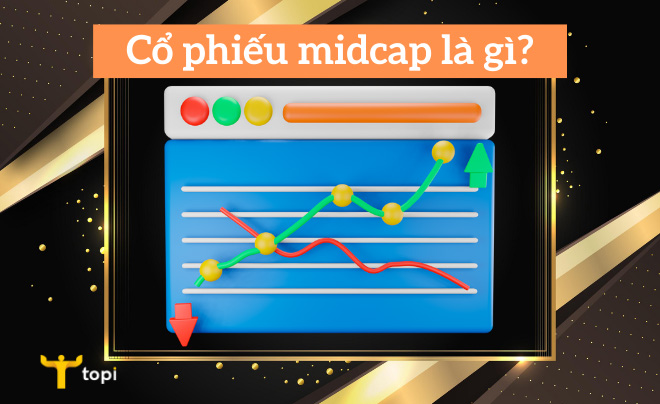Cổ phiếu midcap là gì? Kinh nghiệm đầu tư cổ phiếu midcap an toàn