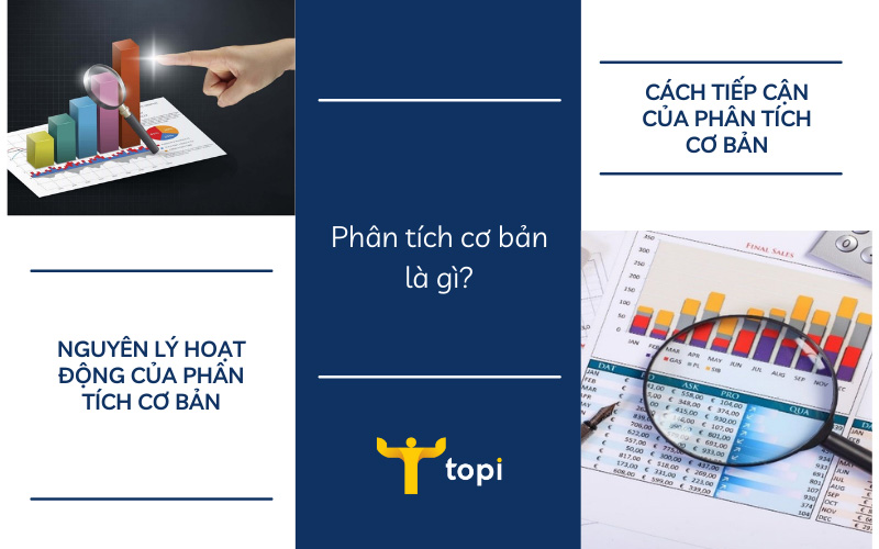 Phân tích cơ bản là gì? Cách thực hiện phân tích cơ bản hiệu quả
