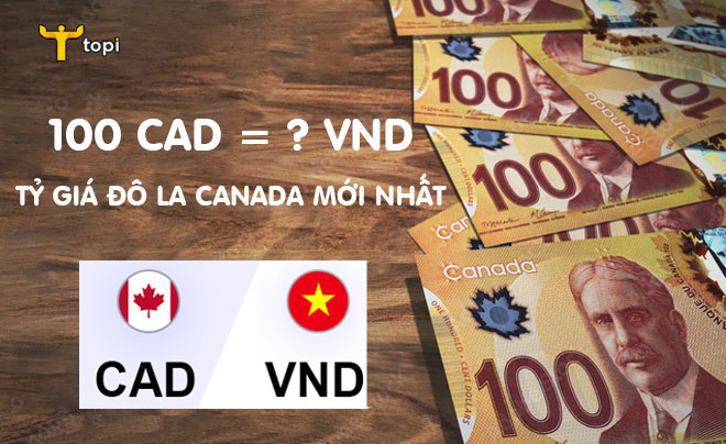 Hướng dẫn chuyển đổi Đô la Canada sang Đồng Việt Nam cho người mới bắt đầu